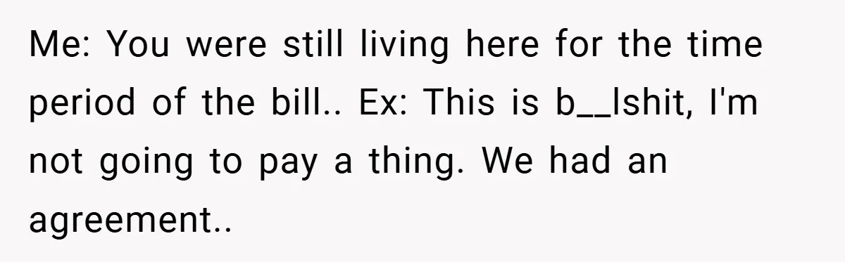 Me: You were still living here for the time period of the bill.. Ex: This is b__lshit, I'm not going to pay a thing. We had an agreement..