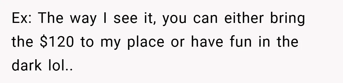 Ex: The way I see it, you can either bring the $120 to my place or have fun in the dark lol..