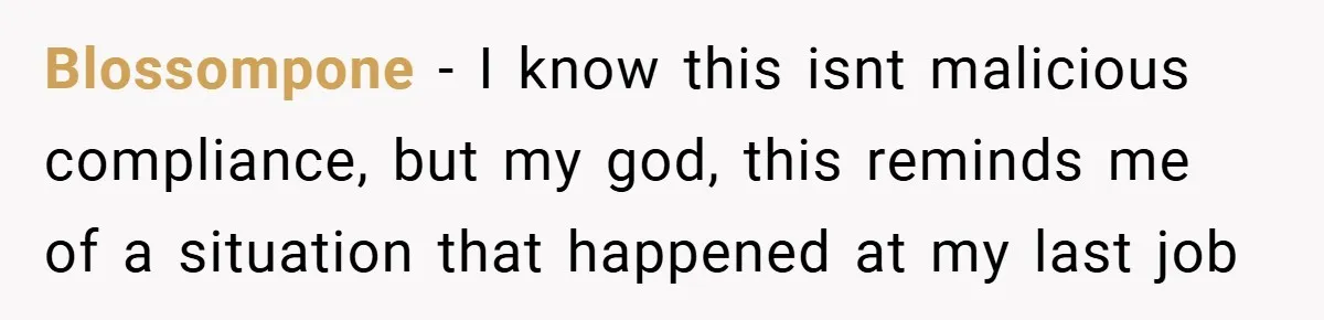 Blossompone − I know this isnt malicious compliance, but my god, this reminds me of a situation that happened at my last job
