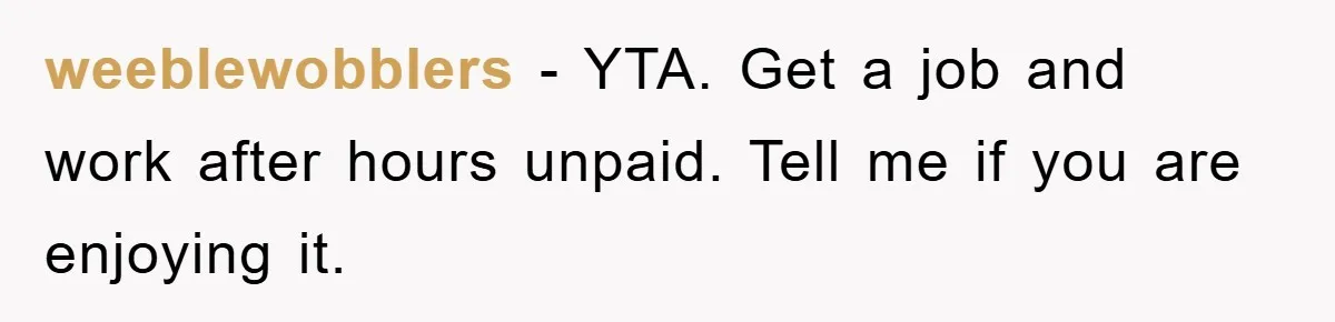 weeblewobblers − YTA. Get a job and work after hours unpaid. Tell me if you are enjoying it.
