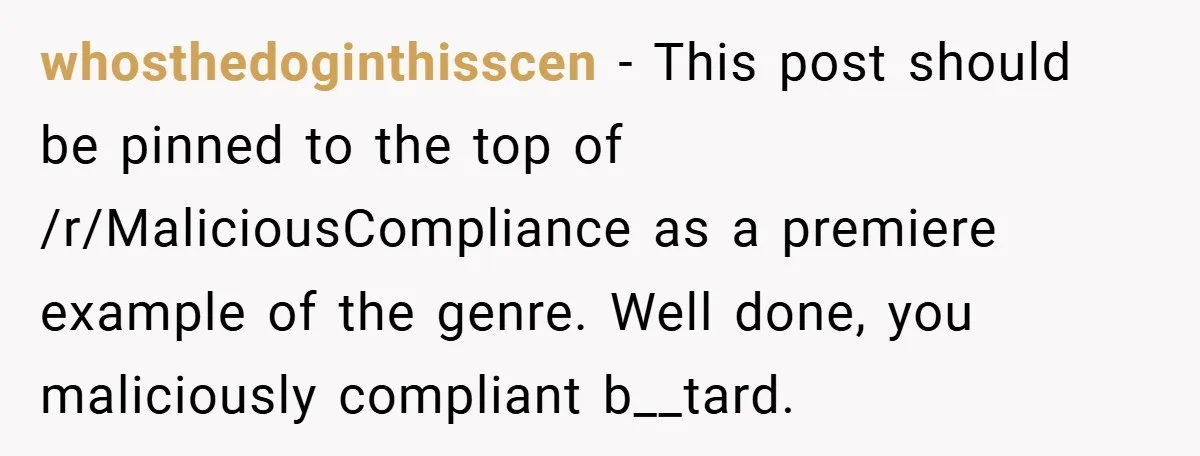 whosthedoginthisscen − This post should be pinned to the top of /r/MaliciousCompliance as a premiere example of the genre. Well done, you maliciously compliant b__tard.