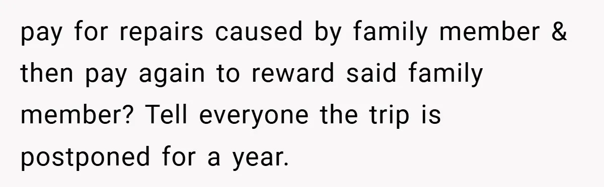 Man Cancels Family Vacation After Brother-in-Law Destroys His Home - Wife Says He’s ‘Punishing the Kids pay for repairs caused by family member & then pay again to reward said family member? Tell everyone the trip is postponed for a year.