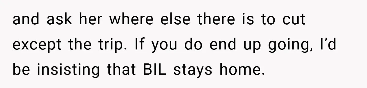 Man Cancels Family Vacation After Brother-in-Law Destroys His Home - Wife Says He’s ‘Punishing the Kids and ask her where else there is to cut except the trip. If you do end up going, I’d be insisting that BIL stays home.
