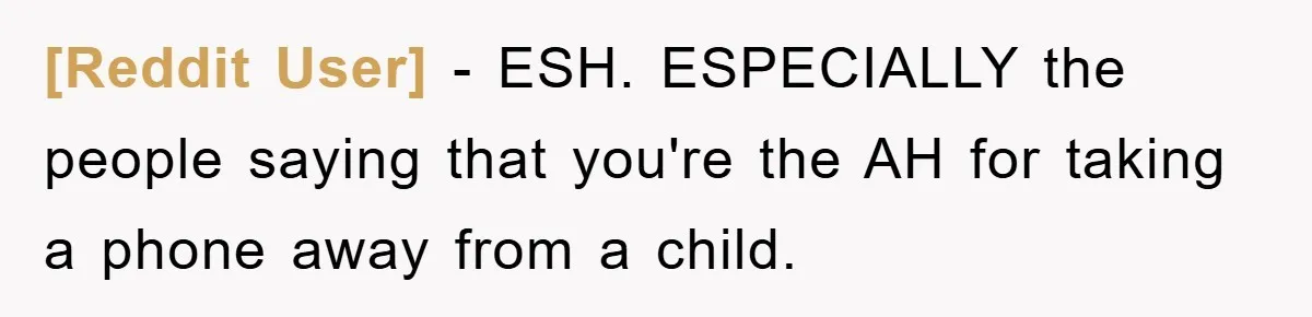 [Reddit User] − ESH. ESPECIALLY the people saying that you're the AH for taking a phone away from a child.