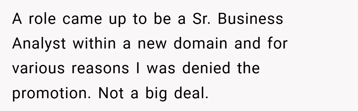 A role came up to be a Sr. Business Analyst within a new domain and for various reasons I was denied the promotion. Not a big deal.