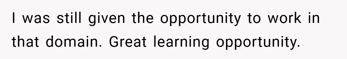 I was still given the opportunity to work in that domain. Great learning opportunity.