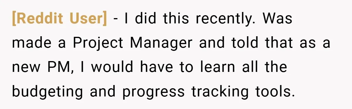 [Reddit User] − I did this recently. Was made a Project Manager and told that as a new PM, I would have to learn all the budgeting and progress tracking...