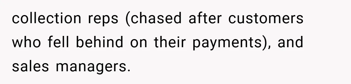 collection reps (chased after customers who fell behind on their payments), and sales managers.