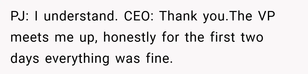 PJ: I understand. CEO: Thank you.The VP meets me up, honestly for the first two days everything was fine.