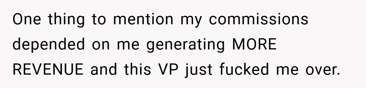 One thing to mention my commissions depended on me generating MORE REVENUE and this VP just fucked me over.