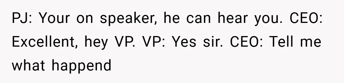 PJ: Your on speaker, he can hear you. CEO: Excellent, hey VP. VP: Yes sir. CEO: Tell me what happend
