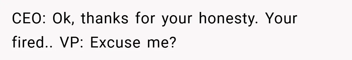 CEO: Ok, thanks for your honesty. Your fired.. VP: Excuse me?