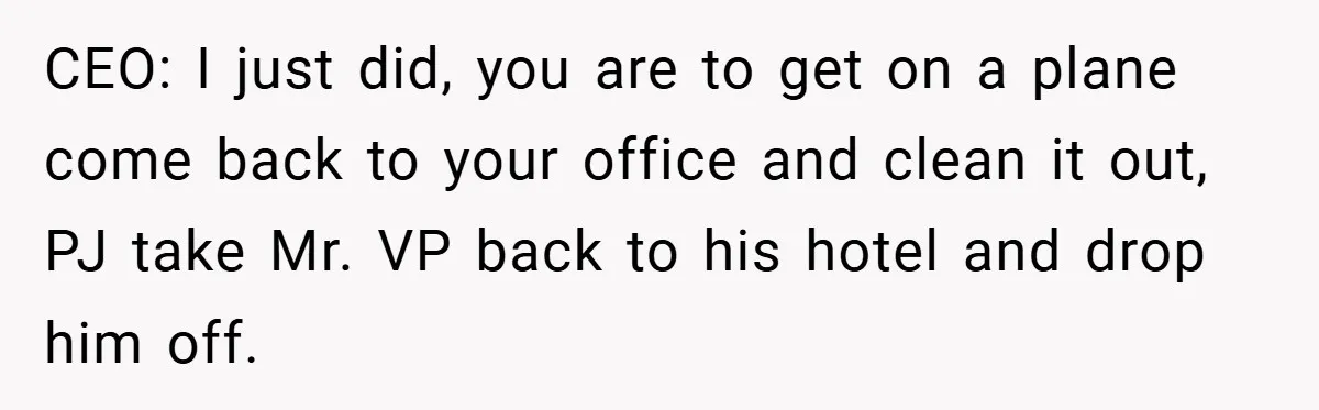 CEO: I just did, you are to get on a plane come back to your office and clean it out, PJ take Mr. VP back to his hotel and drop...