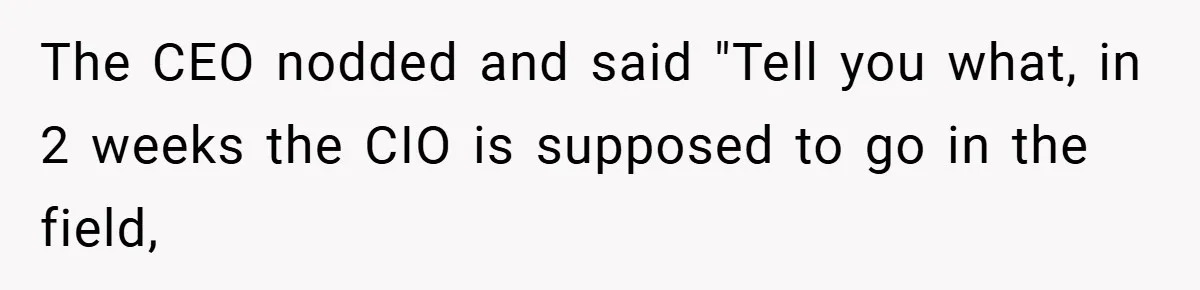 The CEO nodded and said "Tell you what, in 2 weeks the CIO is supposed to go in the field,