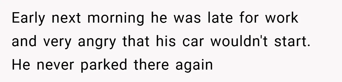 Early next morning he was late for work and very angry that his car wouldn't start. He never parked there again