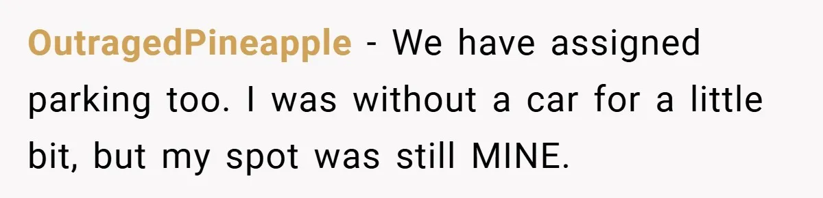 OutragedPineapple − We have assigned parking too. I was without a car for a little bit, but my spot was still MINE.