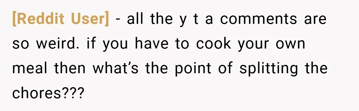 [Reddit User] − all the y t a comments are so weird. if you have to cook your own meal then what’s the point of splitting the chores???