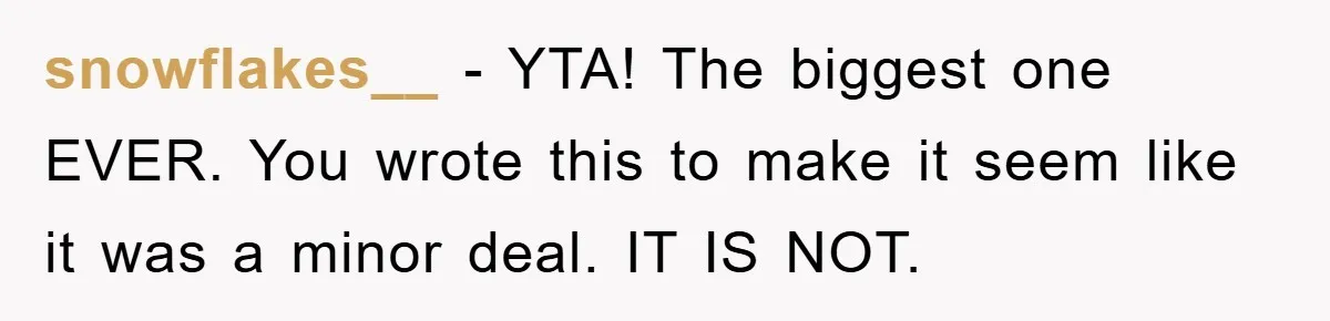 Family Tension Erupts After Woman Posts Baby Shower Photos Despite Sister’s Recent Loss snowflakes__ − YTA! The biggest one EVER. You wrote this to make it seem like it was a minor deal. IT IS NOT.