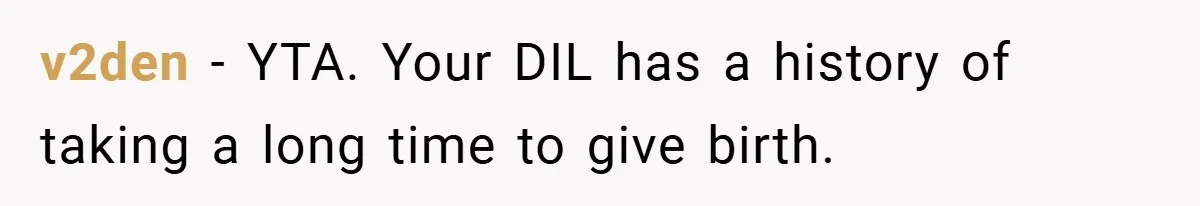 v2den − YTA. Your DIL has a history of taking a long time to give birth.