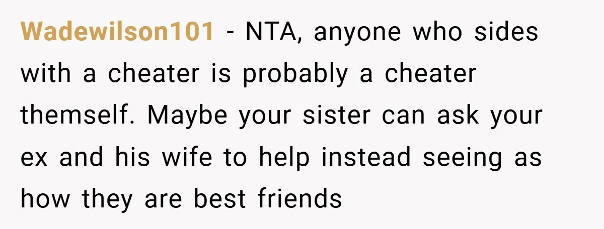 Wadewilson101 − NTA, anyone who sides with a cheater is probably a cheater themself. Maybe your sister can ask your ex and his wife to help instead seeing as how...