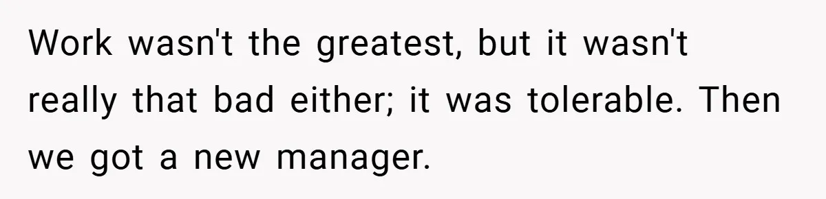 Work wasn't the greatest, but it wasn't really that bad either; it was tolerable. Then we got a new manager.