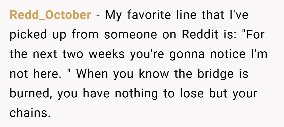 Redd_October − My favorite line that I've picked up from someone on Reddit is: "For the next two weeks you're gonna notice I'm not here. " When you know the...