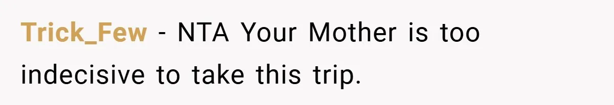Trick_Few - NTA Your Mother is too indecisive to take this trip.