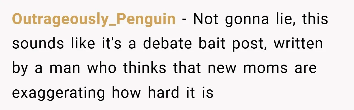 Outrageously_Penguin − Not gonna lie, this sounds like it's a debate bait post, written by a man who thinks that new moms are exaggerating how hard it is
