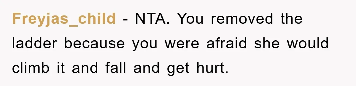 Freyjas_child − NTA. You removed the ladder because you were afraid she would climb it and fall and get hurt.