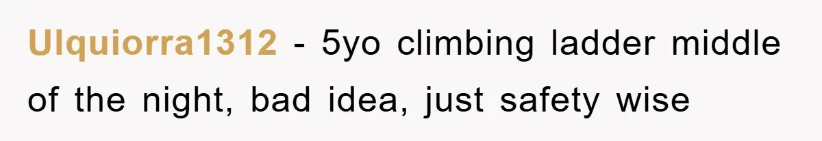 Ulquiorra1312 − 5yo climbing ladder middle of the night, bad idea, just safety wise