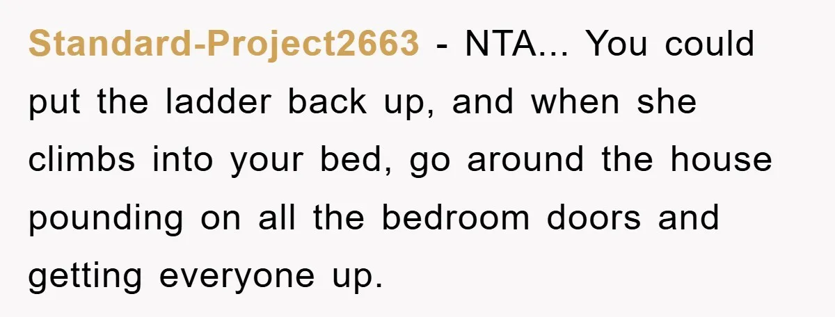 Standard-Project2663 − NTA... You could put the ladder back up, and when she climbs into your bed, go around the house pounding on all the bedroom doors and getting everyone...