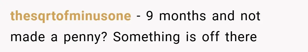 thesqrtofminusone − 9 months and not made a penny? Something is off there