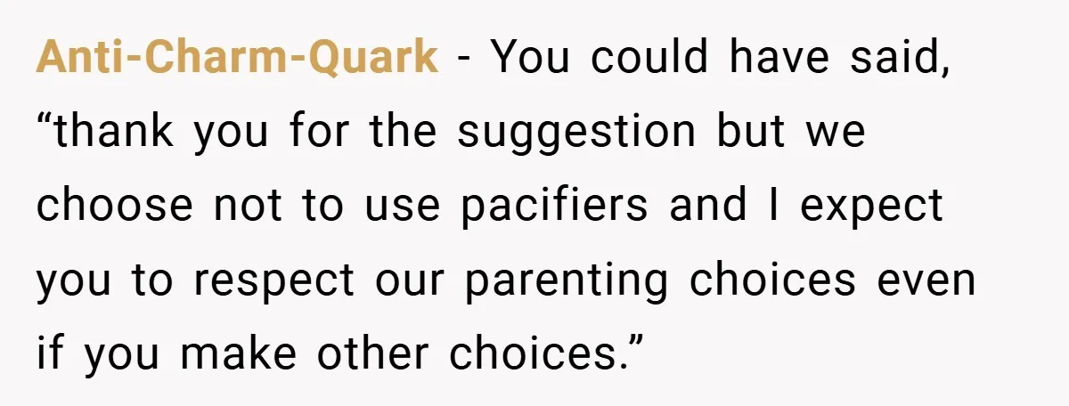 Anti-Charm-Quark − You could have said, “thank you for the suggestion but we choose not to use pacifiers and I expect you to respect our parenting choices even if you...