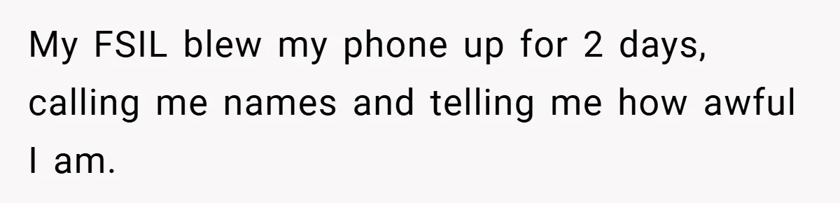 My FSIL blew my phone up for 2 days, calling me names and telling me how awful I am.