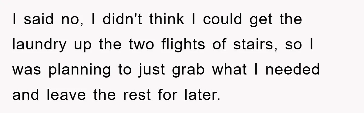 I said no, I didn't think I could get the laundry up the two flights of stairs, so I was planning to just grab what I needed and leave the...