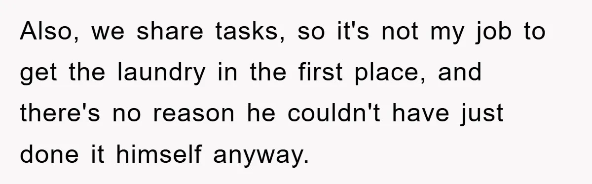 Also, we share tasks, so it's not my job to get the laundry in the first place, and there's no reason he couldn't have just done it himself anyway.