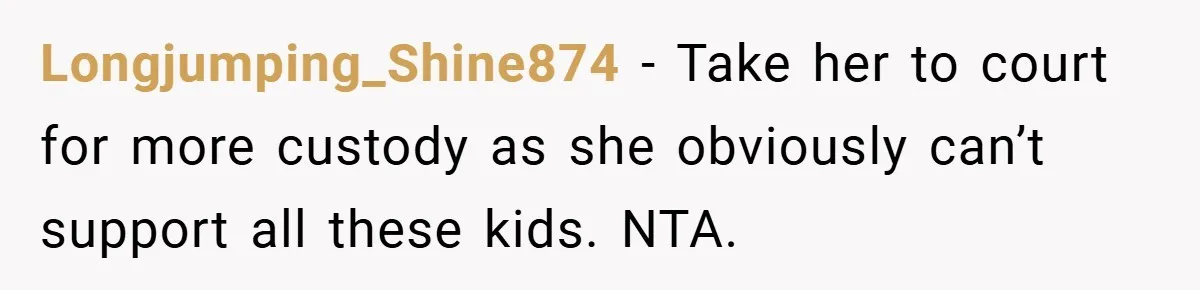 Longjumping_Shine874 − Take her to court for more custody as she obviously can’t support all these kids. NTA.