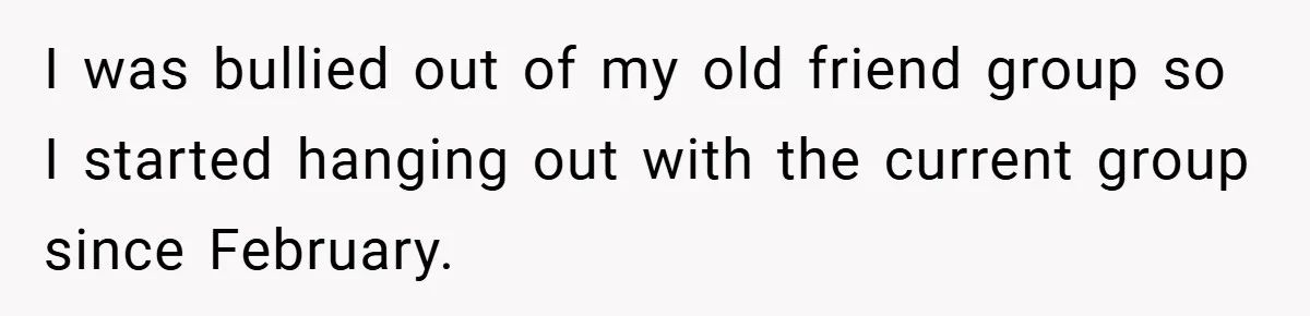 I was bullied out of my old friend group so I started hanging out with the current group since February.