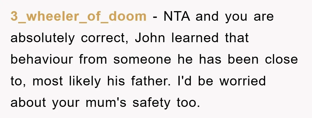 3_wheeler_of_doom − NTA and you are absolutely correct, John learned that behaviour from someone he has been close to, most likely his father. I'd be worried about your mum's safety...