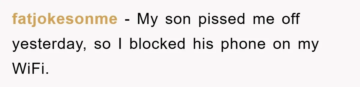 fatjokesonme − My son pissed me off yesterday, so I blocked his phone on my WiFi.
