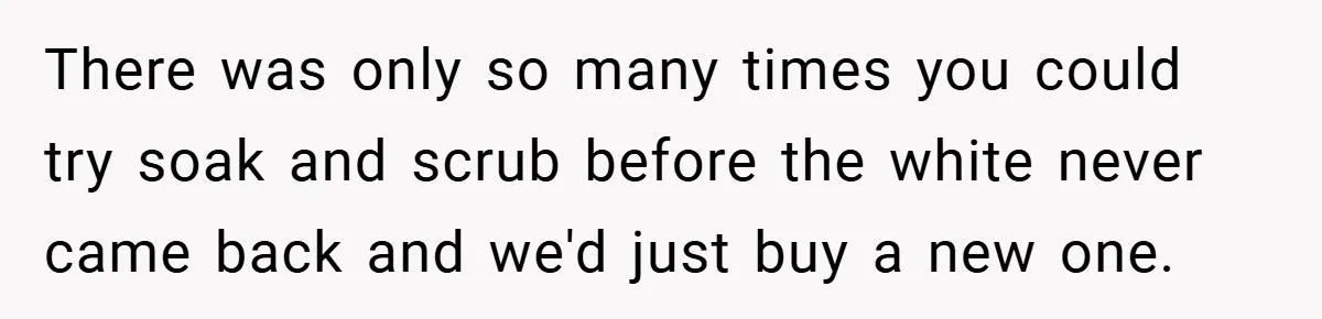 There was only so many times you could try soak and scrub before the white never came back and we'd just buy a new one.