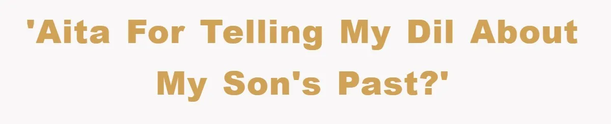 'AITA for telling my DIL about my son's past?'