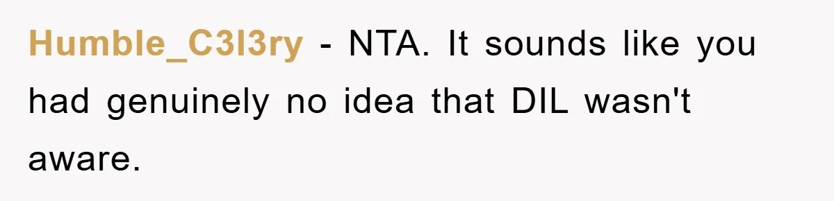 Humble_C3l3ry − NTA. It sounds like you had genuinely no idea that DIL wasn't aware.