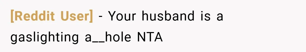 [Reddit User] − Your husband is a gaslighting a__hole NTA