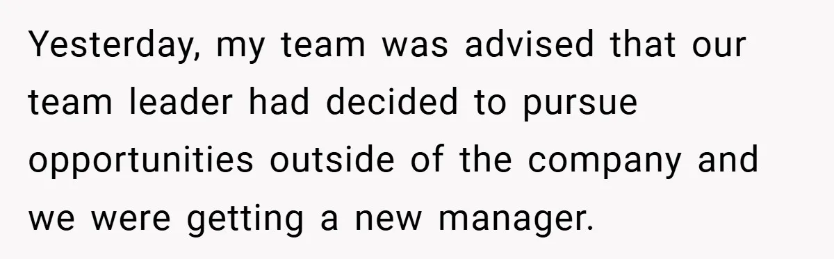 Yesterday, my team was advised that our team leader had decided to pursue opportunities outside of the company and we were getting a new manager.