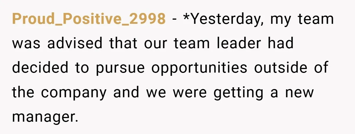Proud_Positive_2998 − *Yesterday, my team was advised that our team leader had decided to pursue opportunities outside of the company and we were getting a new manager.