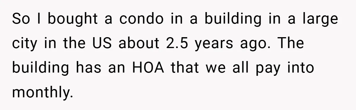 So I bought a condo in a building in a large city in the US about 2.5 years ago. The building has an HOA that we all pay into monthly.