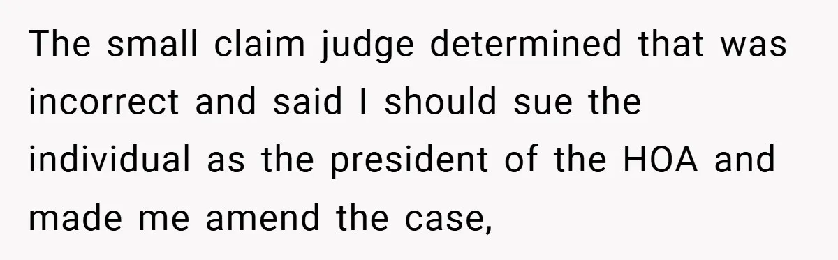 The small claim judge determined that was incorrect and said I should sue the individual as the president of the HOA and made me amend the case,