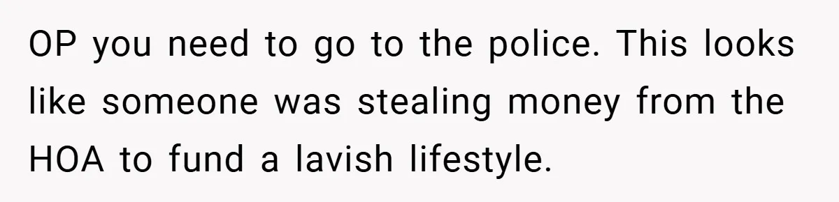 OP you need to go to the police. This looks like someone was stealing money from the HOA to fund a lavish lifestyle.