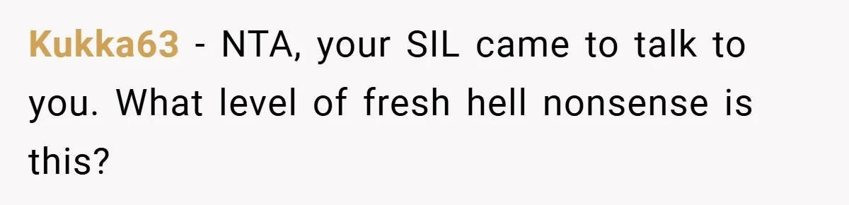 This Wife Refuses to Get a Second Job While Her Unemployed Husband Sits at Home - Family Calls Her Heartless! Kukka63 − NTA, your SIL came to talk to you. What level of fresh hell nonsense is this?